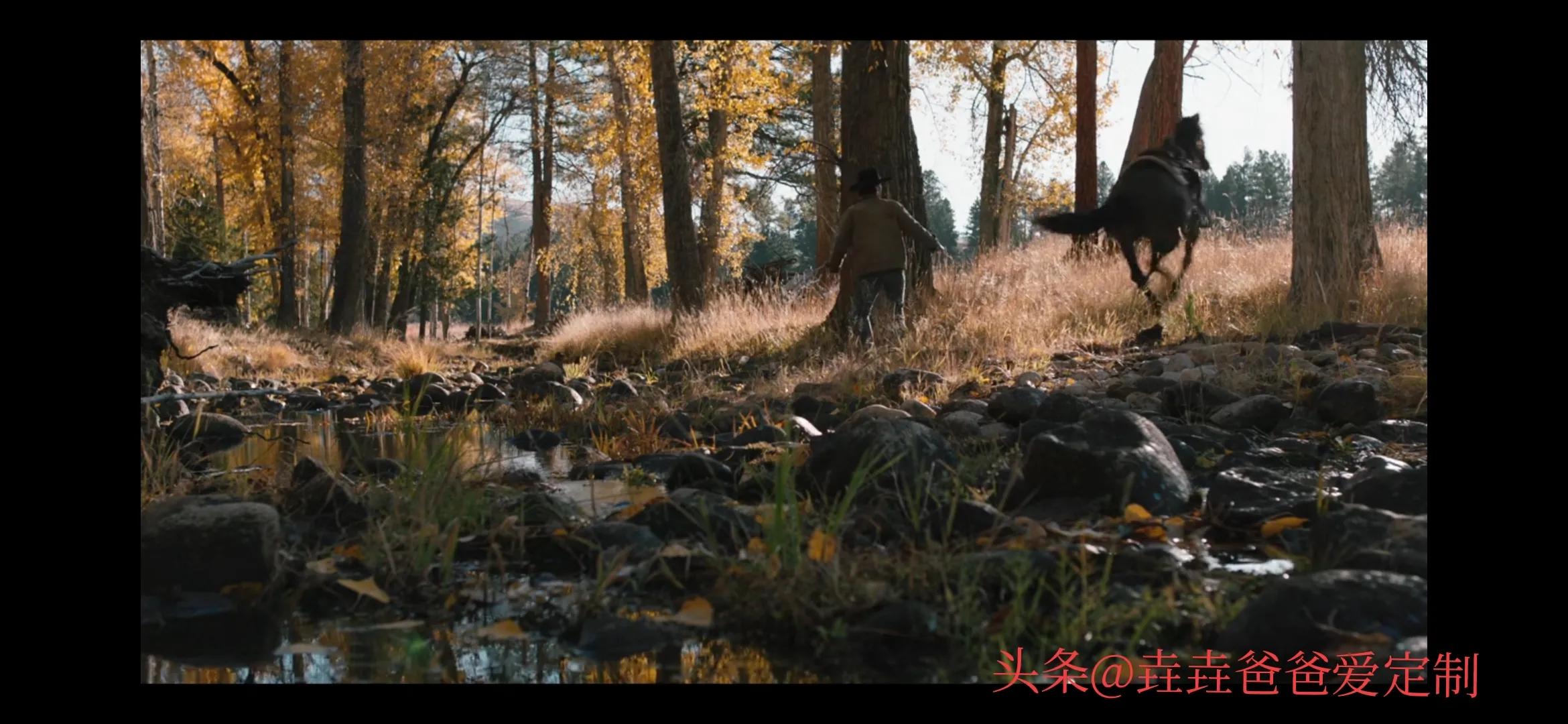 黄石第一季精彩镜头在第几集,黄石第一季有几集