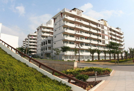 华侨大学艺术类招生美术音乐舞蹈专业,2022年录取分数线是多少?