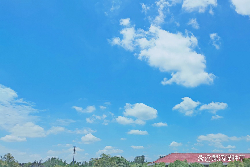 油皮护肤看起来油,油皮痘痘肌看过来