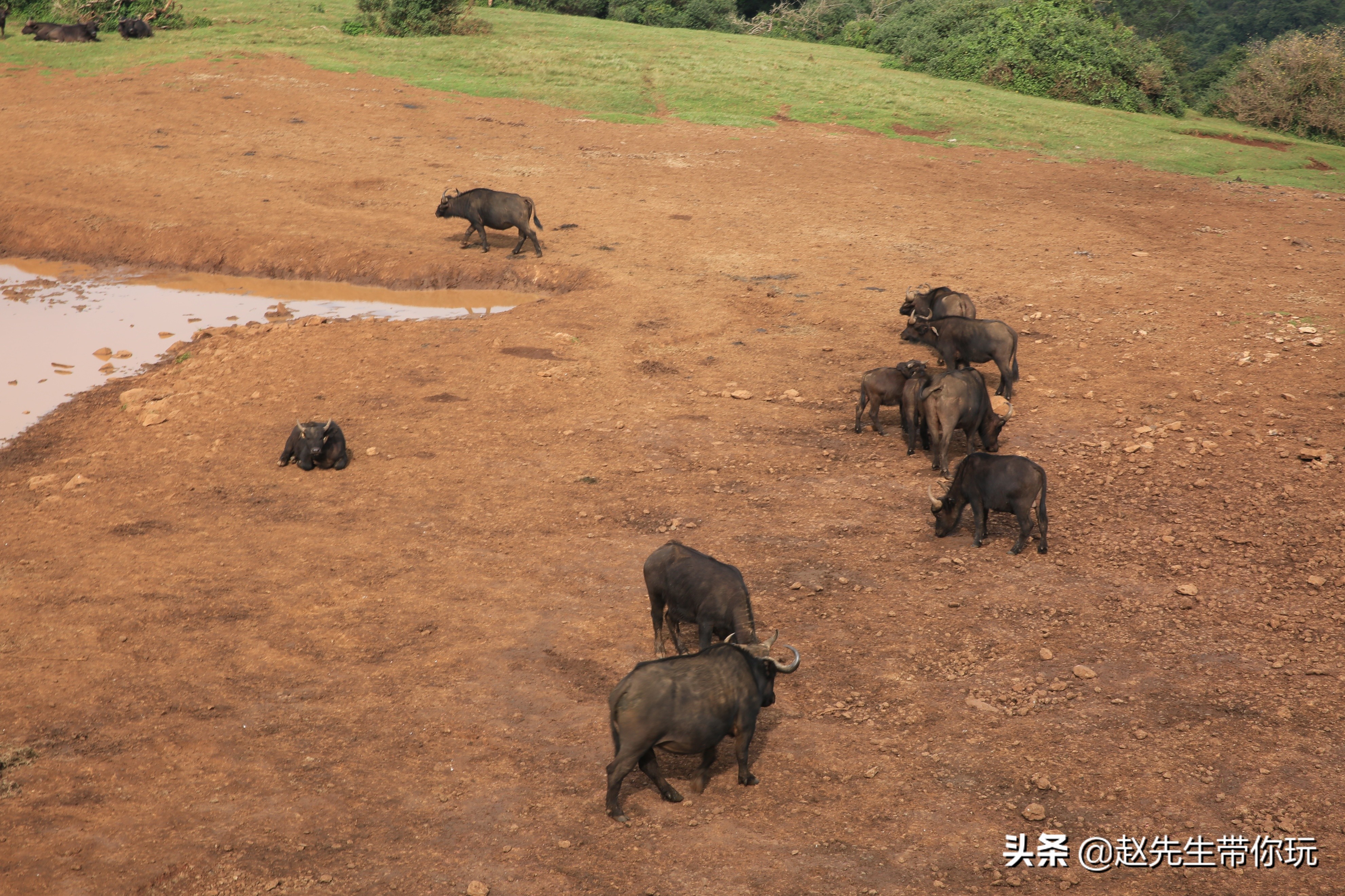二十年游历分享之202:非洲19:肯尼亚18尼耶利的方舟酒店