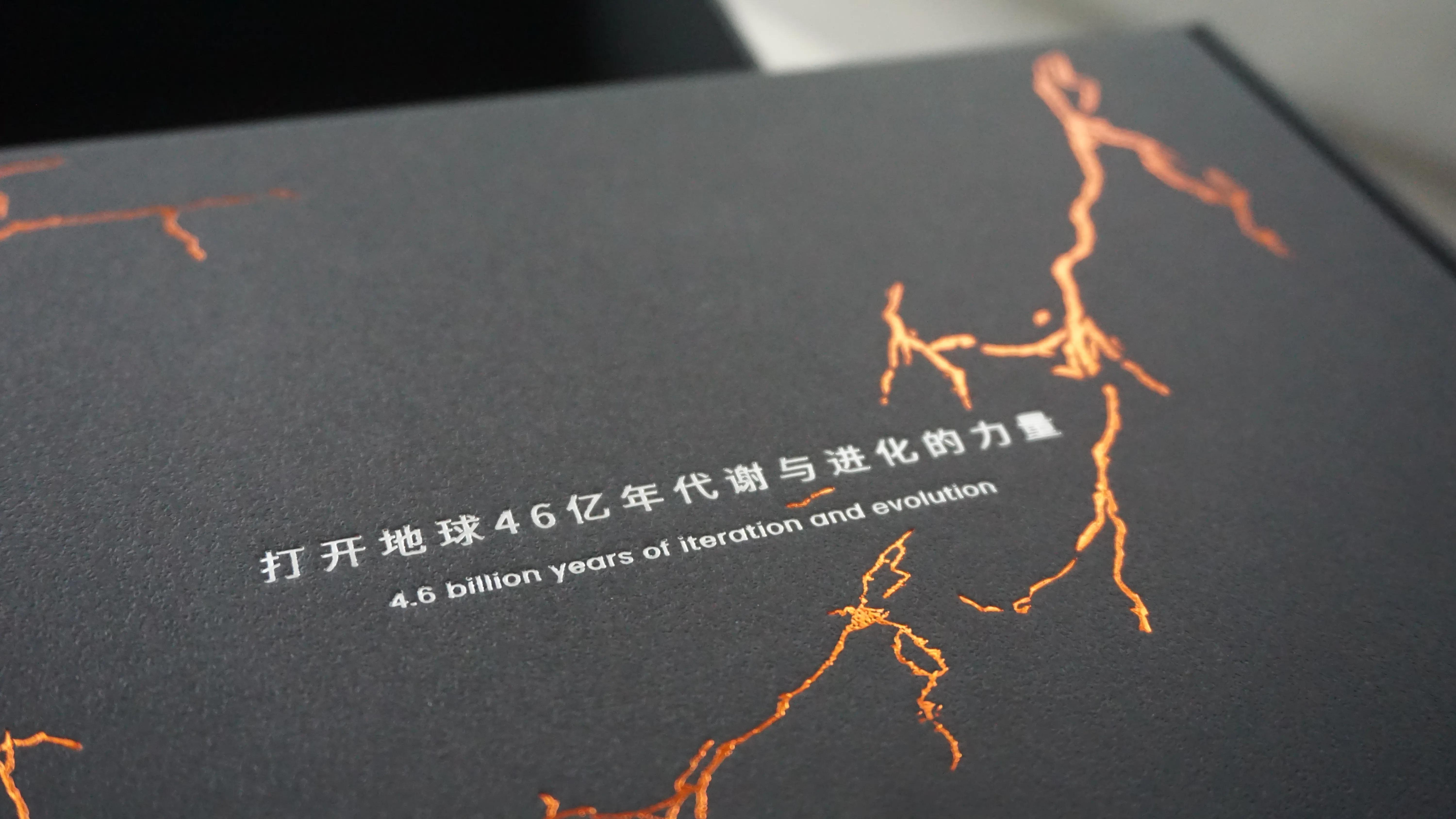 艾戈勒机械表值得买吗,艾戈勒手表质量怎么样