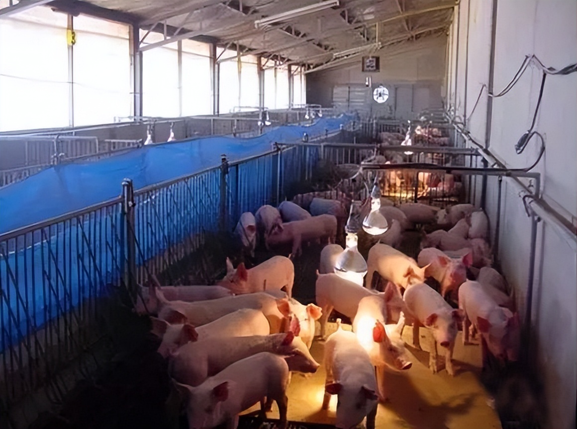 浙江邵根宝公示,邵根伙博士个人简历