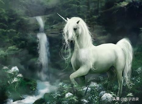 山海经异兽录本命异兽,山海经496个异兽排名榜