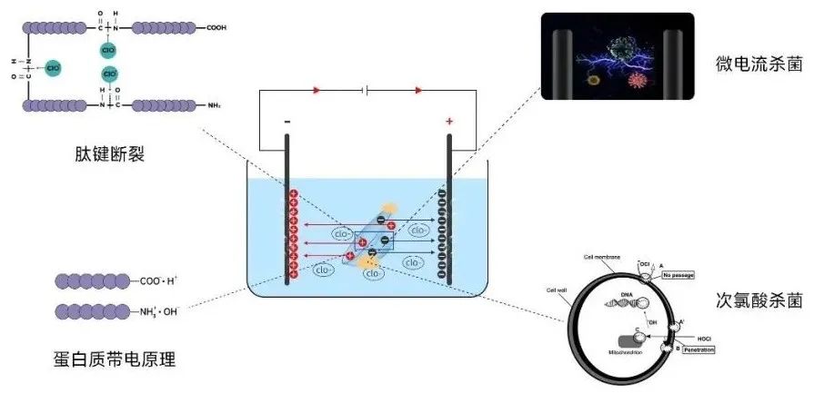≥99.99%冠状病毒灭活率！3N角膜接触镜护理仪或是新希望