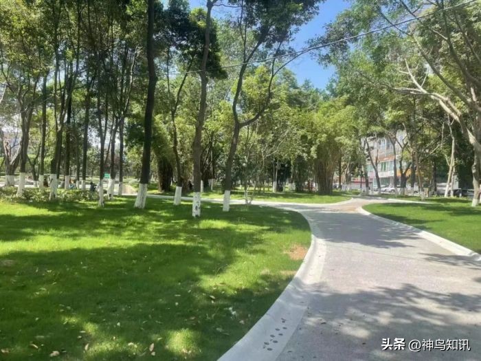 成都首届公园城市网红打卡点,成都周边公园网红打卡景点