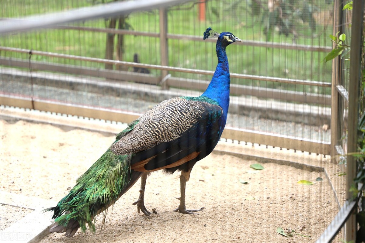 深圳周边温泉亲子游玩推荐,深圳元旦假期亲子游玩好去处