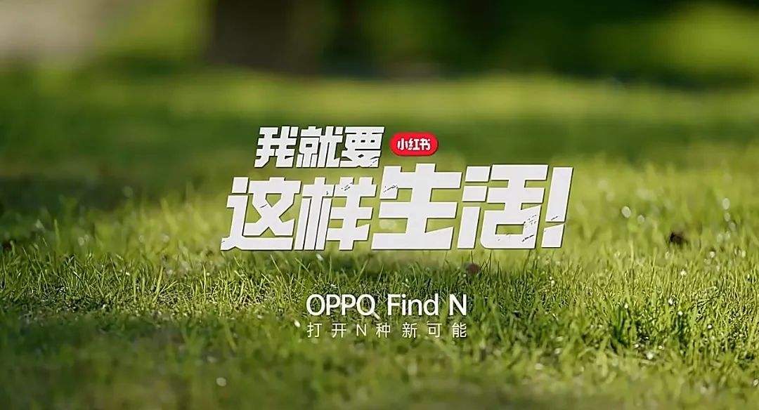 小红书里面的节目,我在看小红书