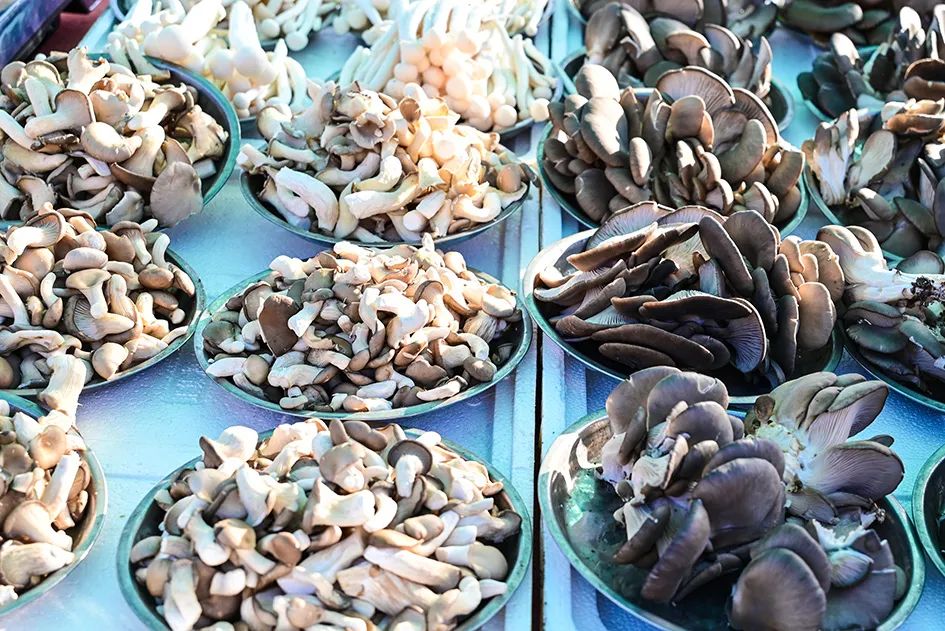 西山脚下的早市,闲逛最具人间烟火气的早市