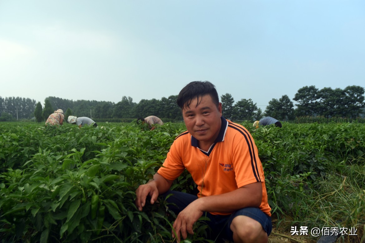 噻虫嗪含量和价格,噻虫嗪是第几代杀虫剂