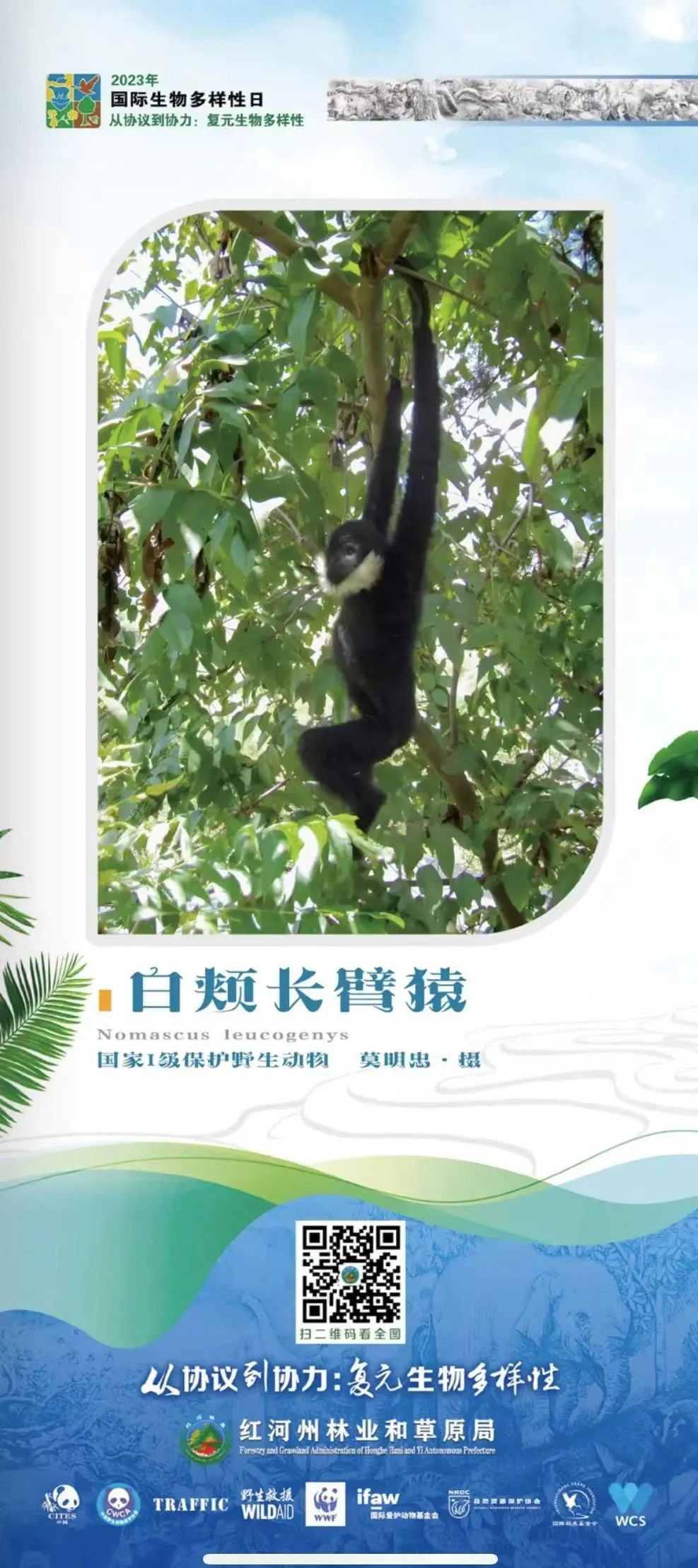 面向全国招聘聘任制公务员简章,聘任制公务员招聘公告山东