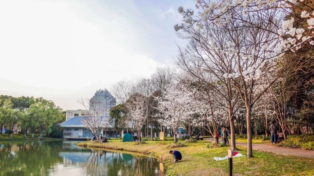 过敏季穿衣，澳柯玛智慧护理机帮你解除烦恼