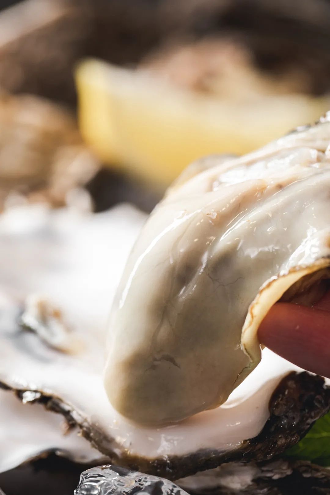 这座不起眼的山东小城，搞生蚝能有多猛？