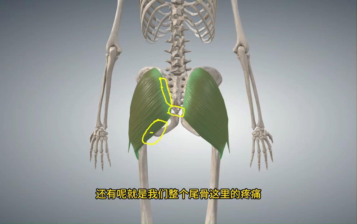 臀大肌松解法,臀大肌痛训练方法