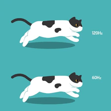 笔记本4000左右推荐oled屏,3千左右笔记本推荐oled屏幕