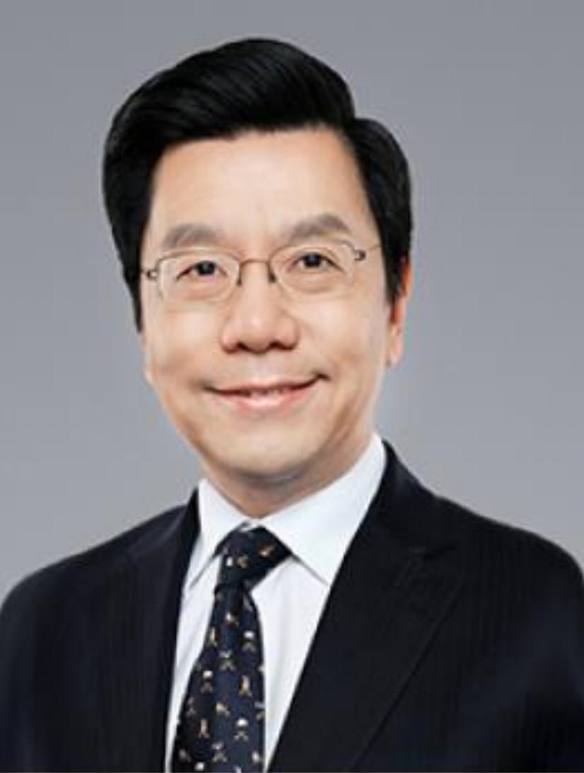 香港特首选举委员会顾问团,香港特区政府特首顾问团