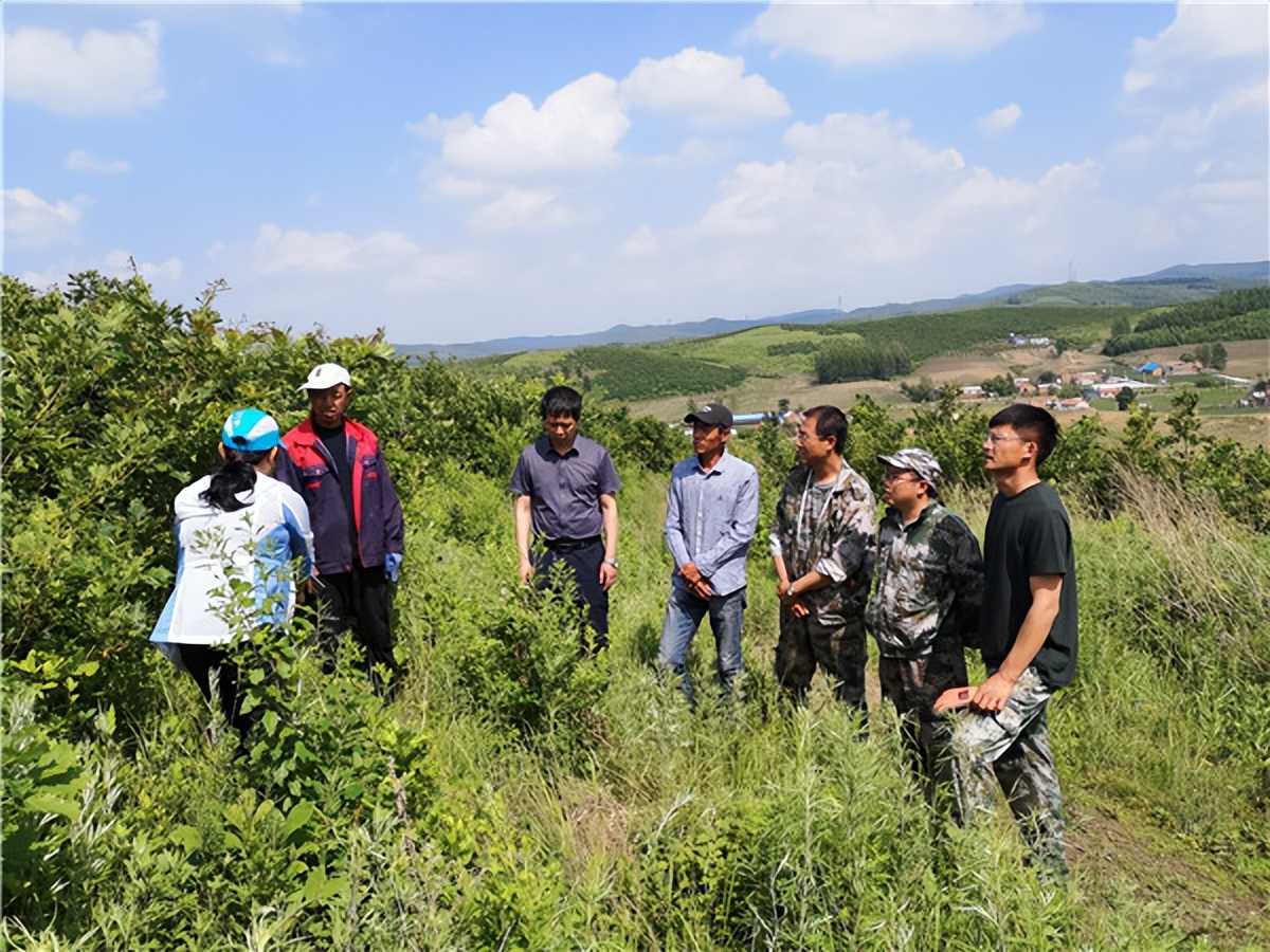 特色产业“生金”，增收致富“有道”