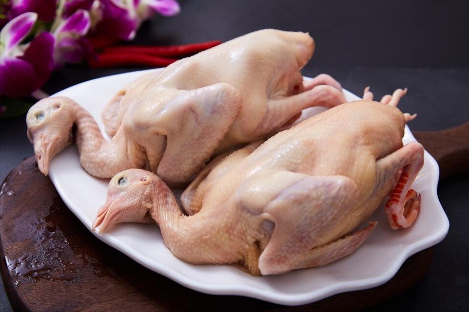 炖鸽子不要哪些部分,鸽子汤怎么炖才不腥不柴好喝呢