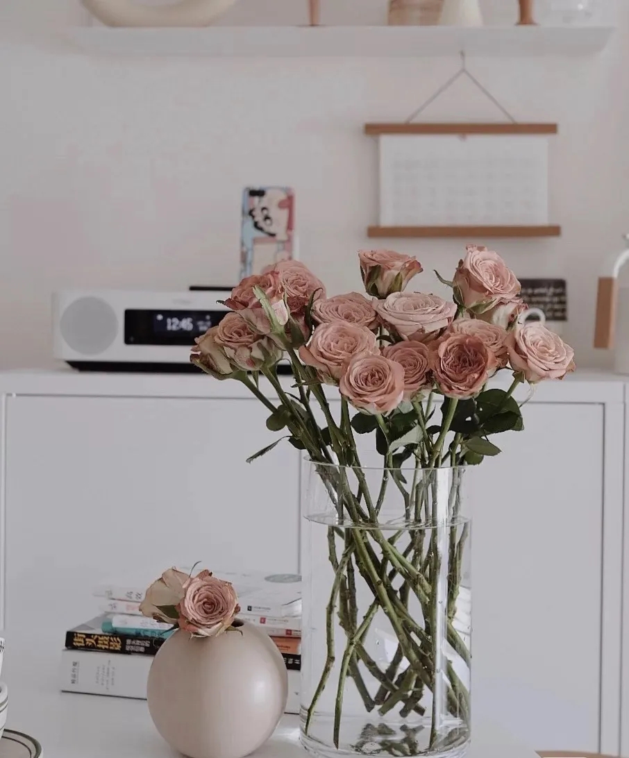 买花的渠道,买花怎么选择最好