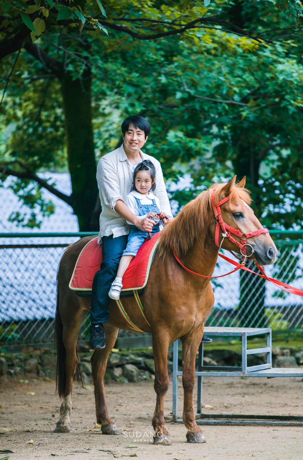 武汉哪个动物园比较适合小朋友玩,武汉值得带孩子去的动物园