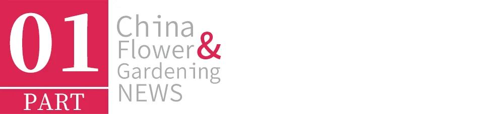 让古树活得更长久,古树可以活多久