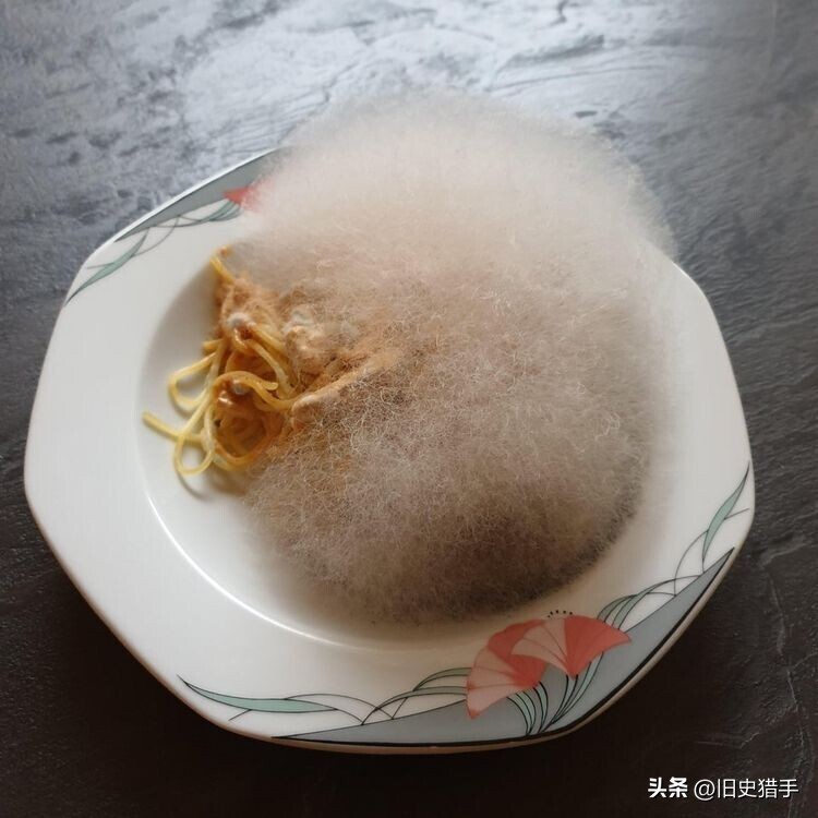 20张照片霉霉,25张令人震惊的图片