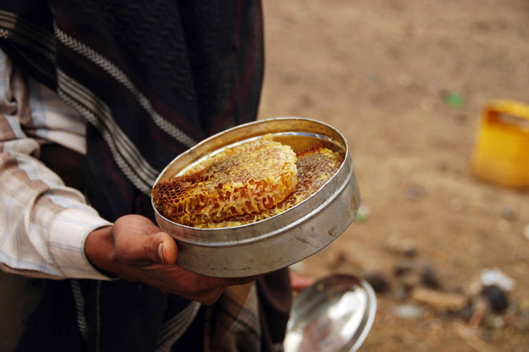 好好的一个国家，就这么被*品毒**榨干了