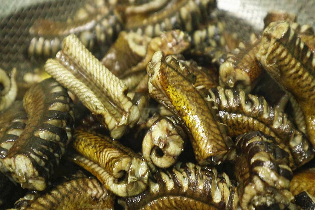 三伏天,建议男人:不差钱多吃5种软黄金！体力足精力旺,平安一夏