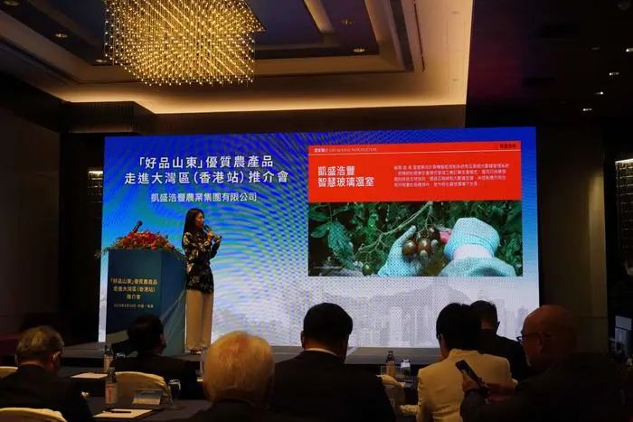 青岛市政府最新签约,市政府代表团访港澳招商推介