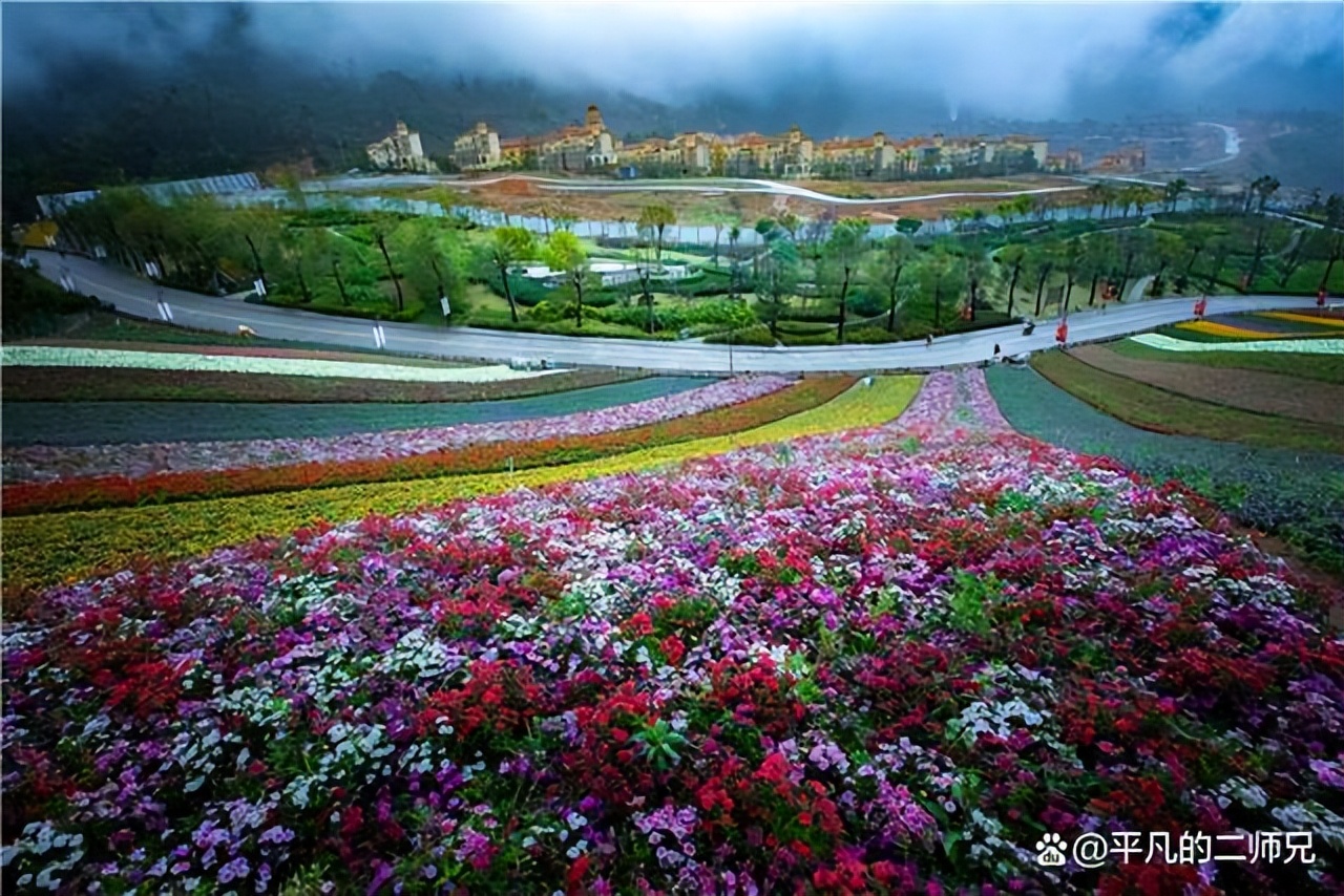福建漳州云水谣永定土楼一日游,土楼云水谣东山岛自驾游