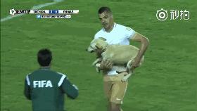 狗冲进足球场挡住一粒进球,小狗进足球场扑球