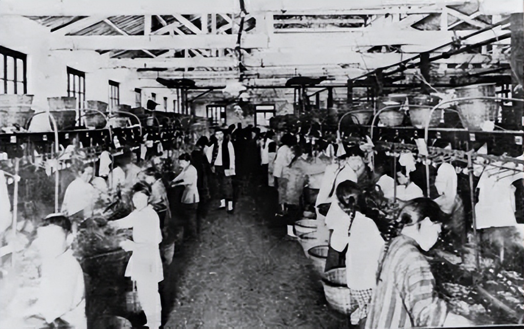 以史为鉴啥意思,以史为鉴指的是什么