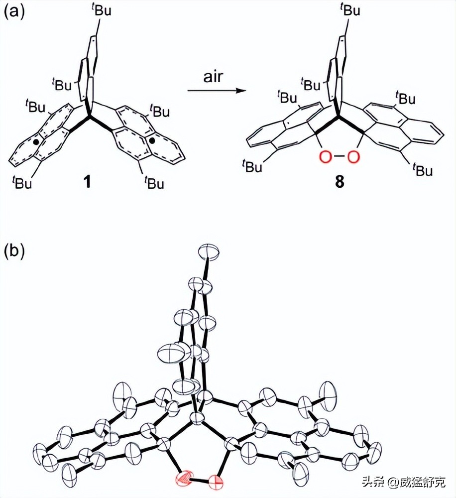 经空间相互作用的双自由基类物质的合成和性质研究