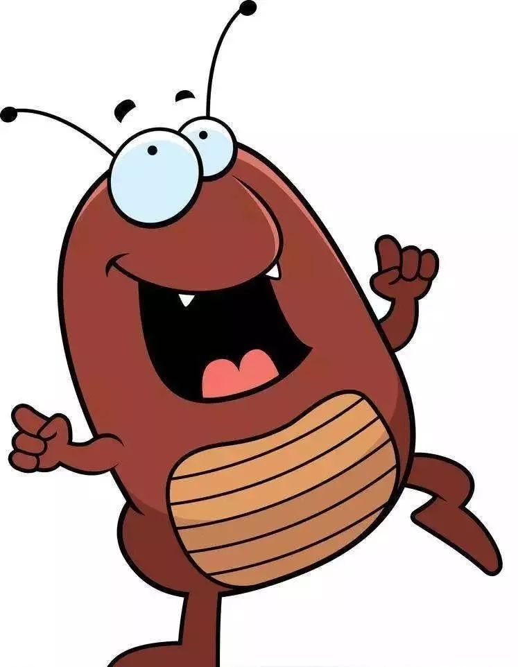 除四害的实用方法,广东上门除四害技巧