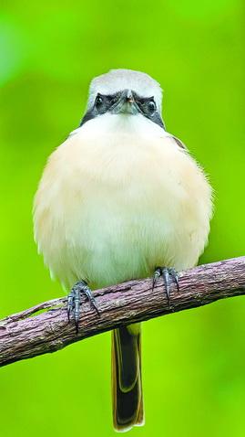 厦门最大的新开公园,厦门比较大的公园