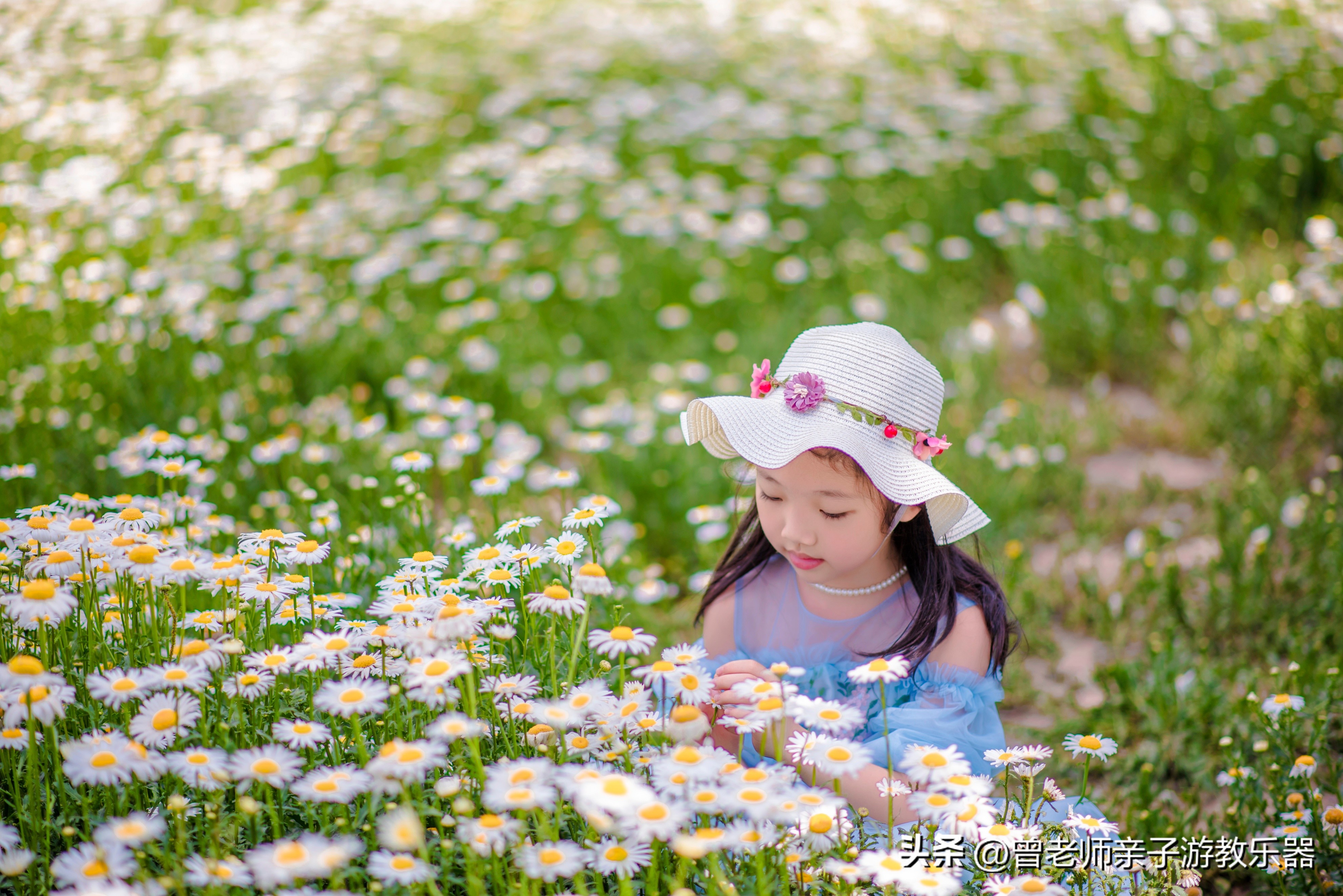 西安市内旅游必去景点攻略一览表,西安五天旅游景点攻略大全