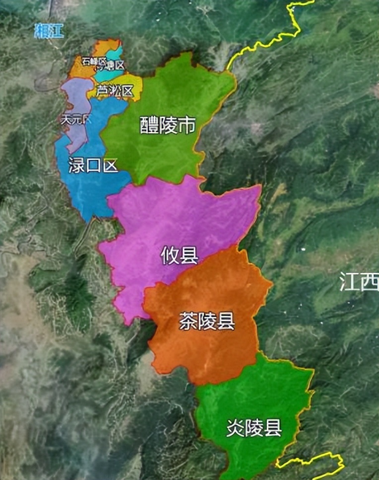 黑木耳种植前景及价格,黑木耳种植致富门路