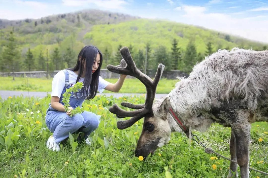 五一白山市自驾游的地方,五一白山出发2日游