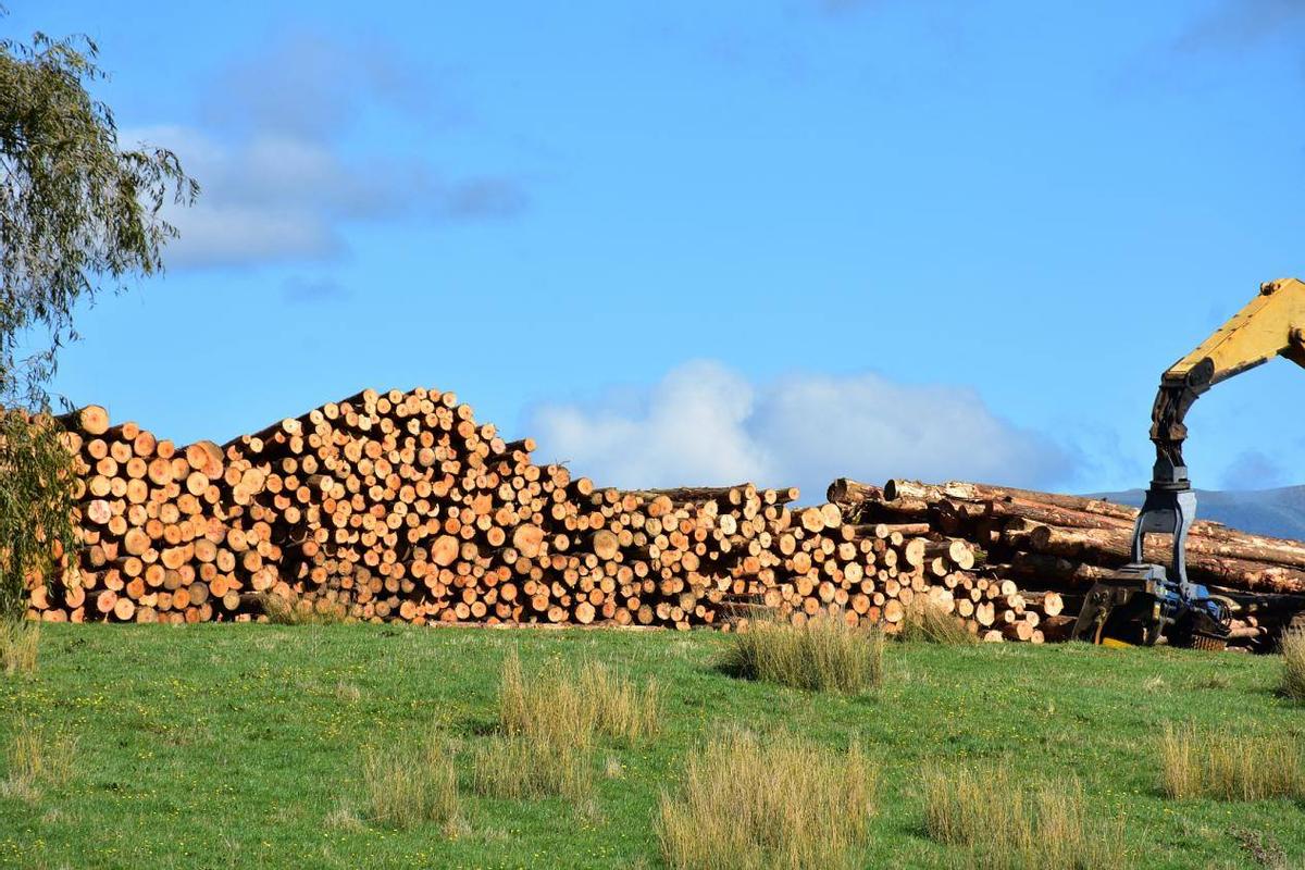 世界上最孤独的国家有多孤独？节假日商铺全关，却令无数人向往