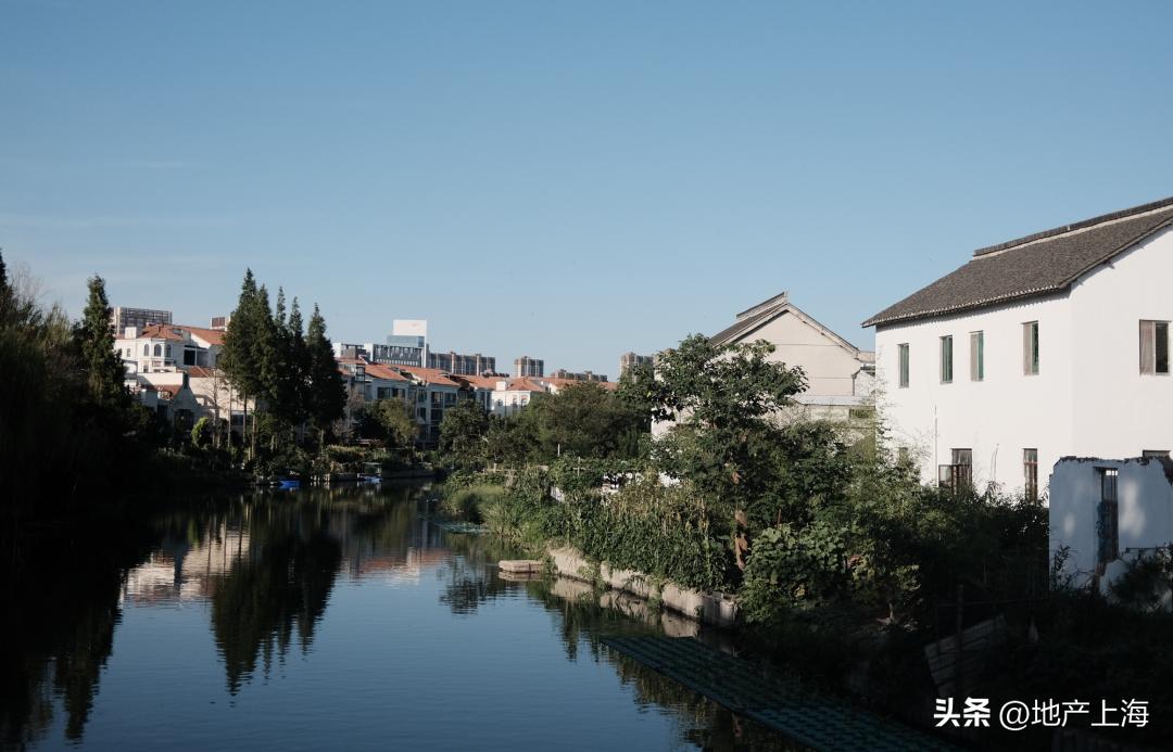 住在上海郊区什么体验,住在上海的你对上海有什么感受