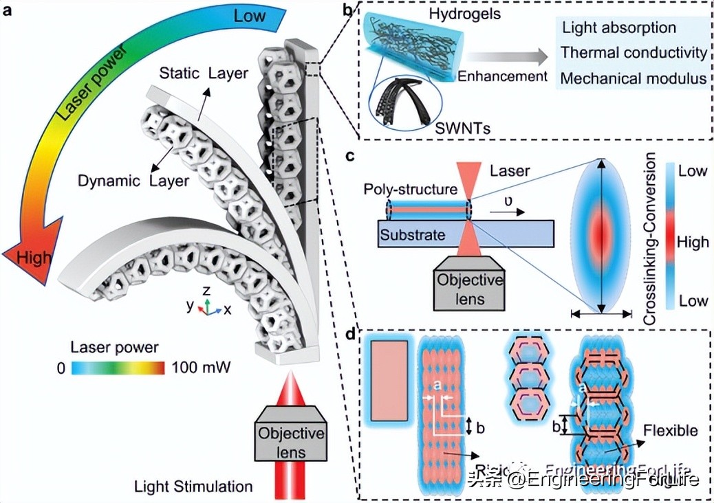 afm激光,afm机床是国产么