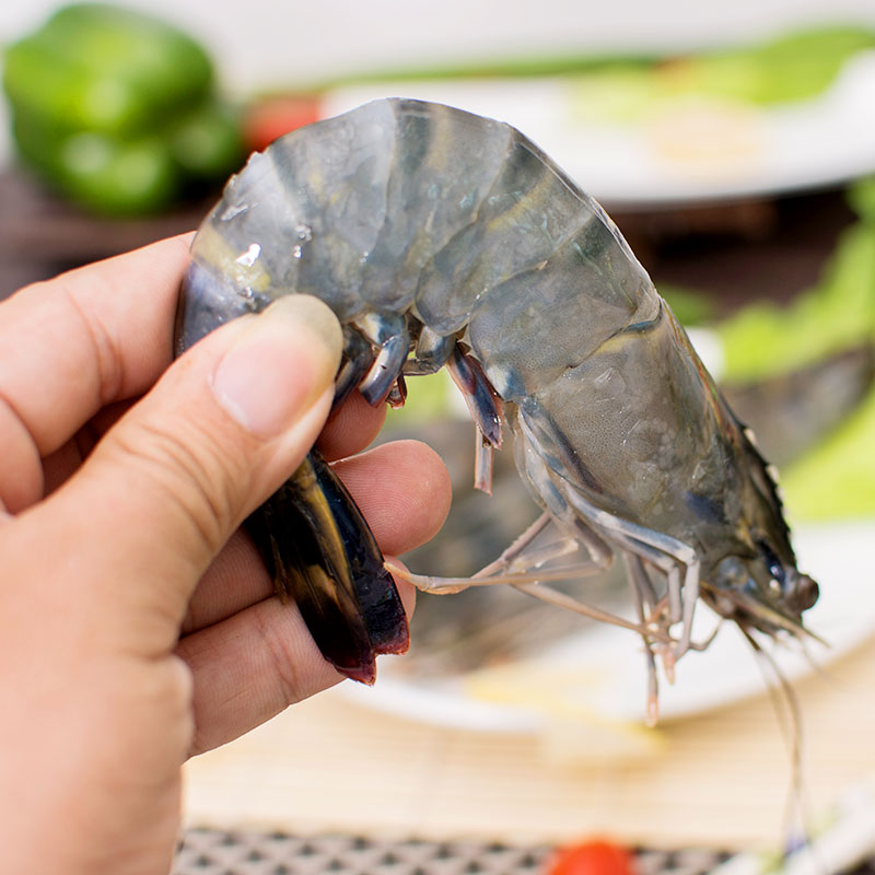 买大虾用什么好,买虾要牢记这几点