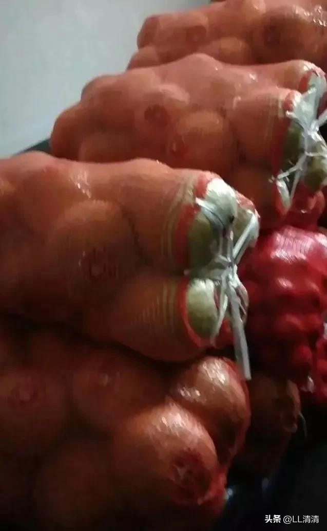 农村的这种生意太赚钱了！小伙子去村里卖水果，两年时间买车买房