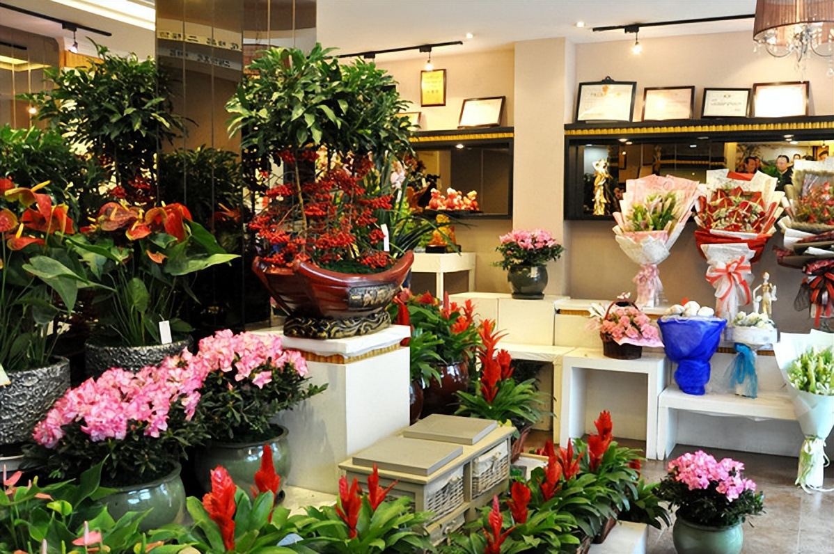 2023年最火爆的加盟店,2023年加盟店有哪些好项目