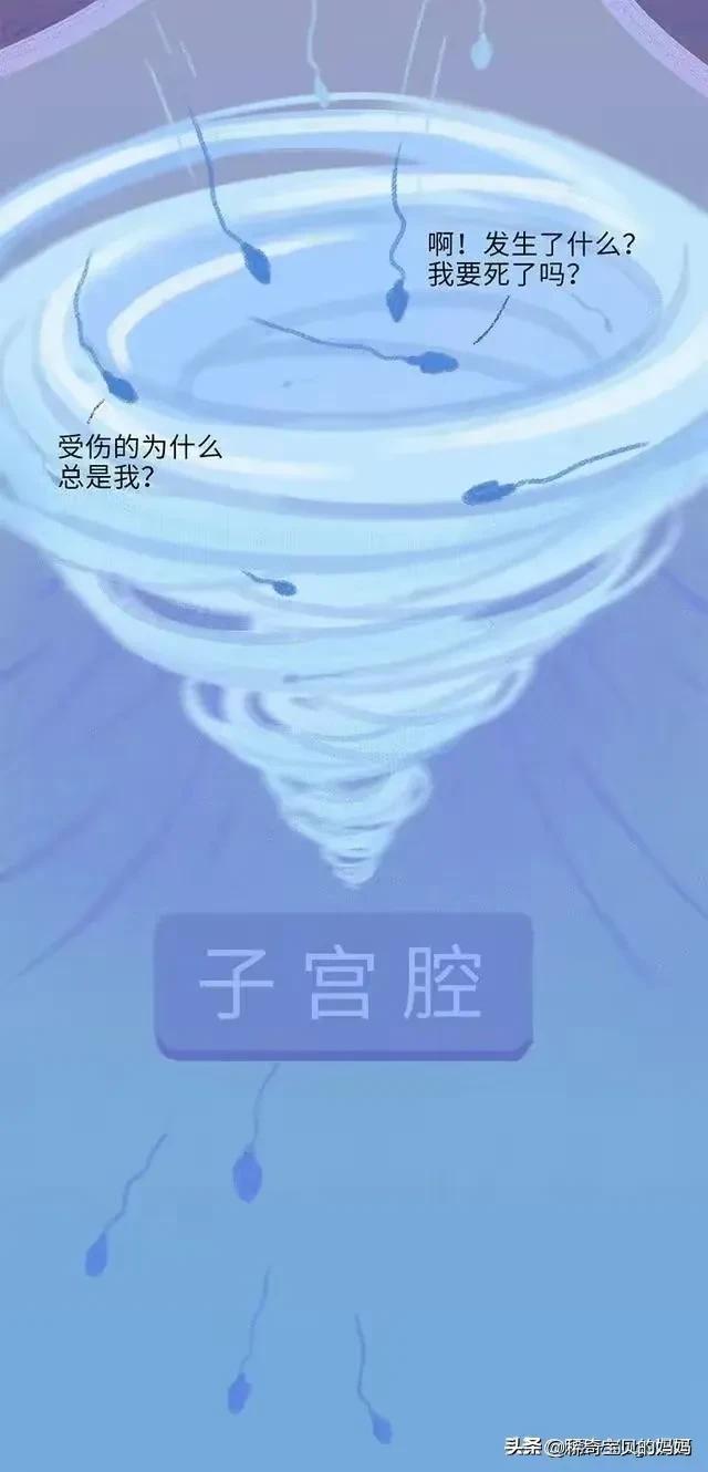 精子进入女生体内的24小时，都发生了些什么？励志漫画