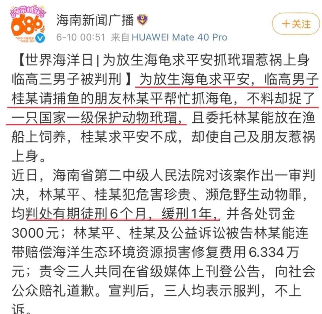 那些胡乱放生的人,那些放生的人都怎么想的