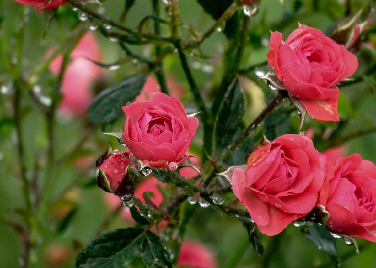 潍坊到三亚旅游攻略7天6晚旅游团,三亚旅游三天两晚详细美食攻略