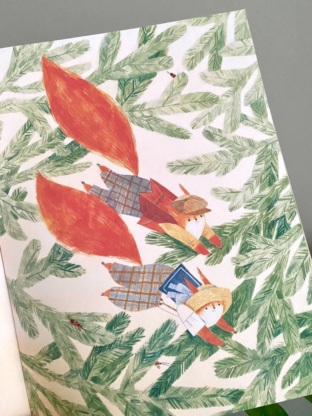 网红书推荐励志,网红推荐的书值得读吗