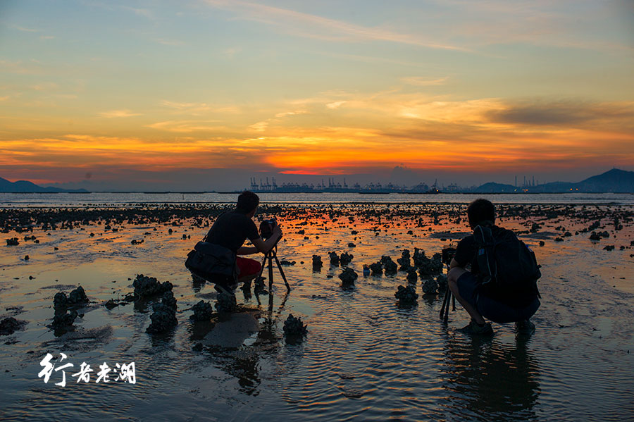 香港通关你会去吗,香港旅行攻略拥抱着你的离去