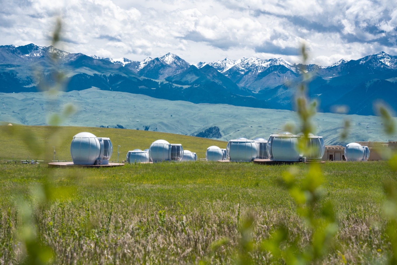 新疆伊犁之美,走了一圈才发现世界万物远不及你