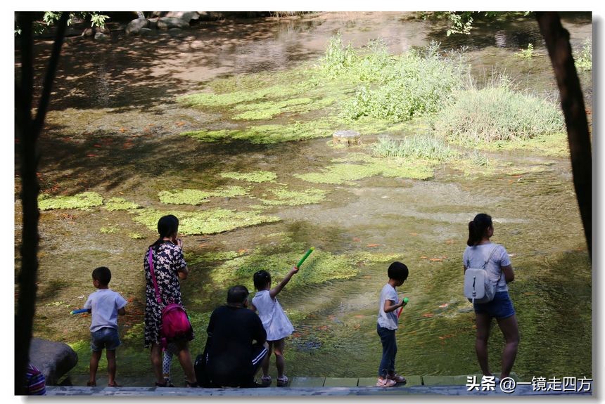 乌鲁木齐十大隐藏公园,乌鲁木齐最好的小绿谷公园
